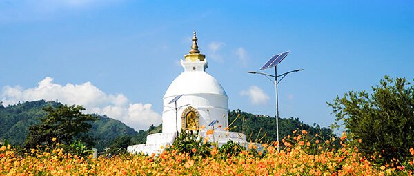 Peace Pagoda with colourful blooming flowers
