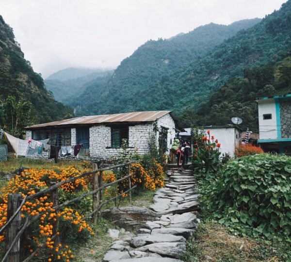 Elevate Trek- House with a marigold flower in Dhampus Village