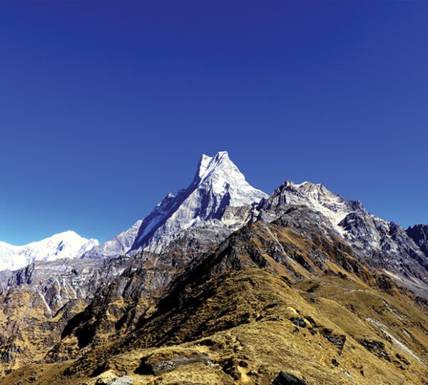 Elevate Trek- Machhapuchhre Himal and Mardi Himal peak