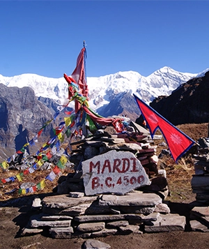 Elevate Trek- At the peak of Mardi Himal Base Camp, wave the Nepalese flag and prayer flags.