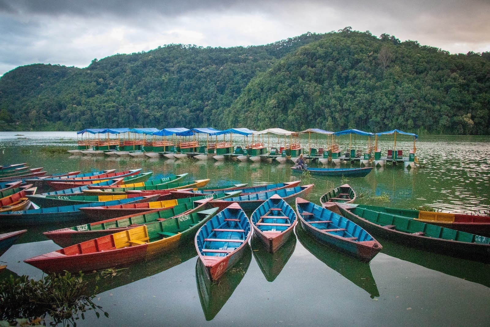 Elevate Trek- Group of boats on Phewa Lake, Pokhara, with a single boater in the center of one boat
