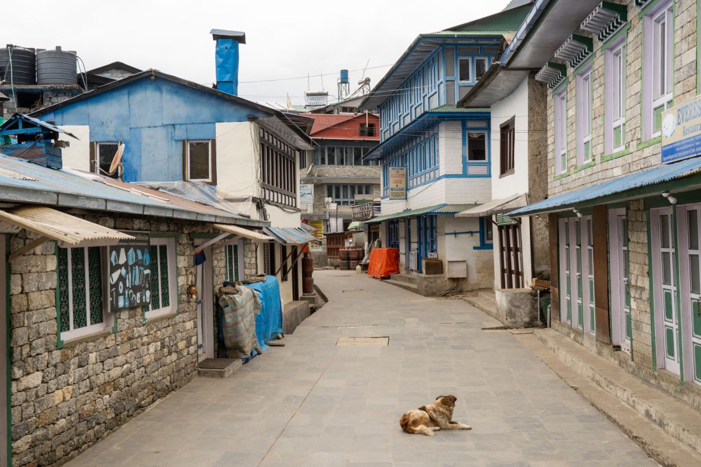 Tranquil street view of Namche Bazaar with traditional buildings and a stray dog lying on the pavement.