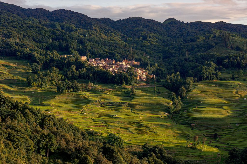 Aerial view of a village surrounded by lush green terraced fields under a bright sky.