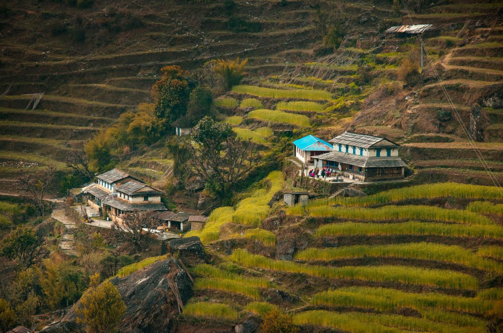 Captivating terraced fields with village houses in the picturesque Annapurna region of Nepal.